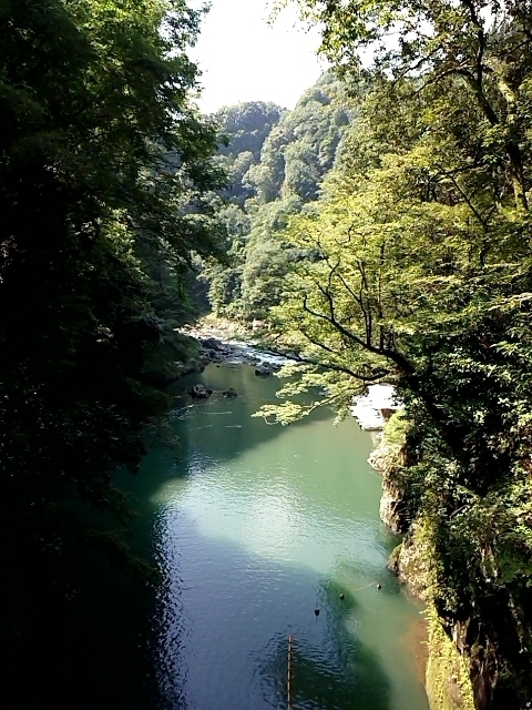 2018-0803-100720561.JPG