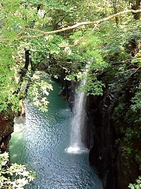 2018-0803-100738281.JPG