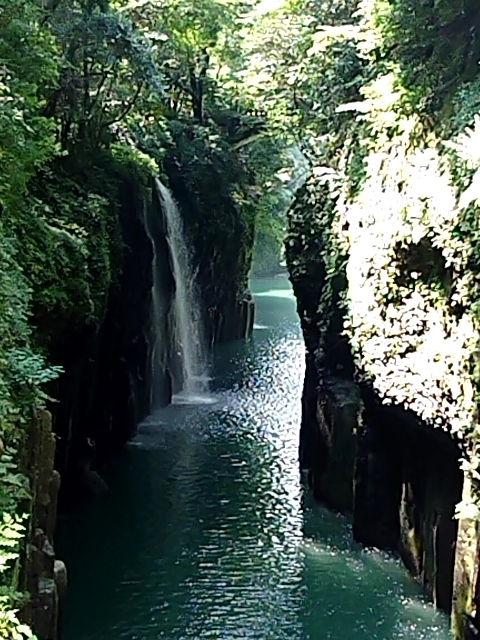 2018-0803-102746192.JPG