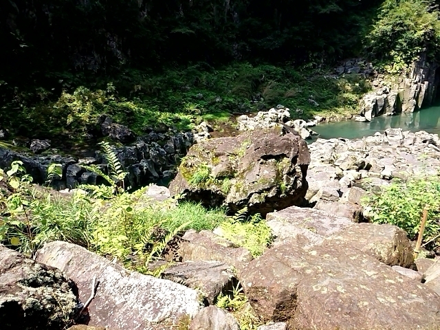 2018-0803-103716432.JPG