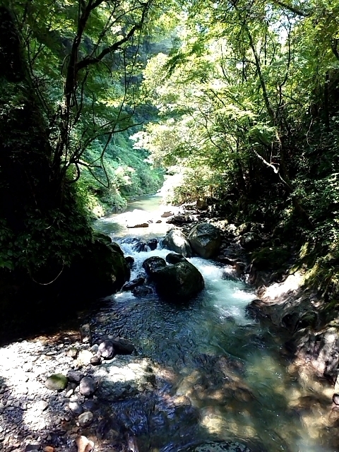 2018-0803-124037053.JPG