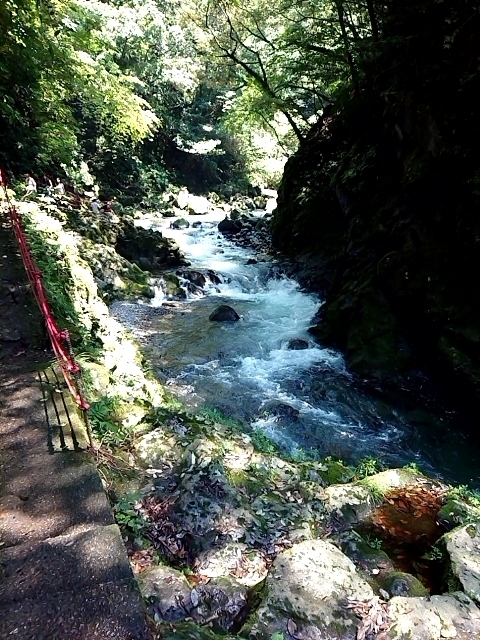 2018-0803-124450726.JPG