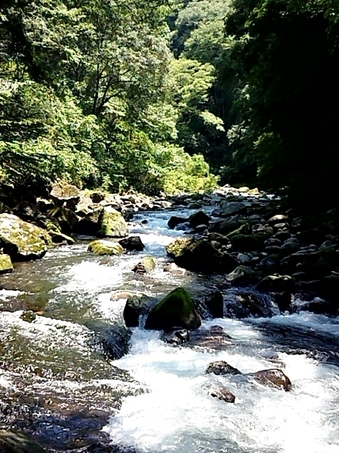 2018-0803-124627412.JPG