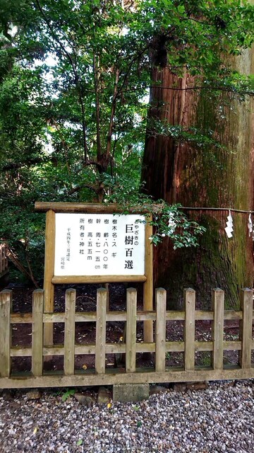 20180802_160424043.jpg